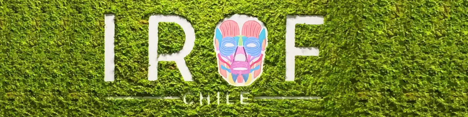 Instituto de rehabiliación Orofacial (2)